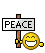Peace Sign Smile
